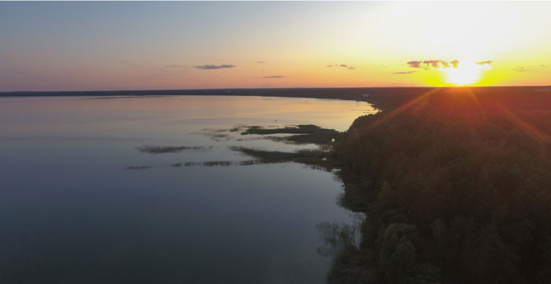 Ученые БГУ разработали мероприятия для поддержания и улучшения экосистем Нарочанских озер