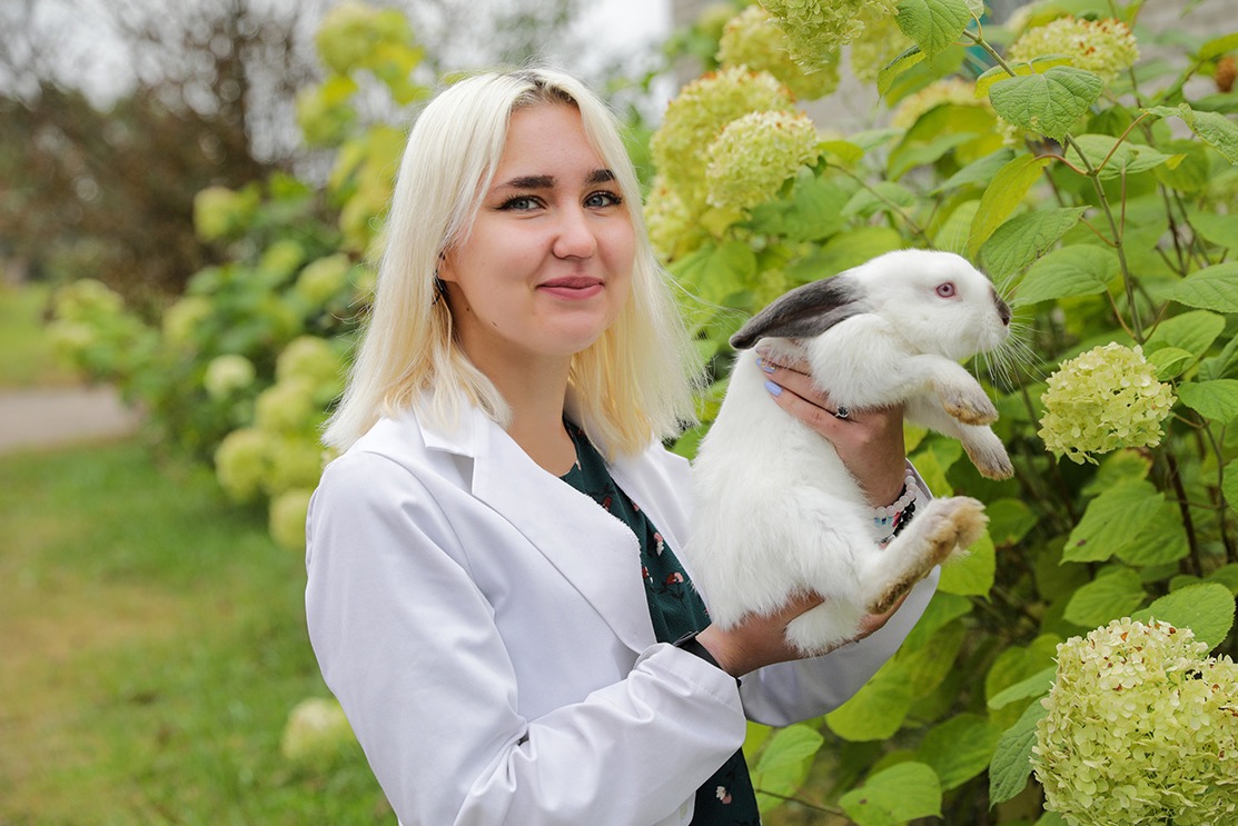 В Витебской области разработана система бонусов и доплат для молодых зооветспециалистов